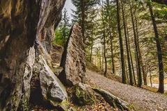 2DUBY Považská – fotografia 3
