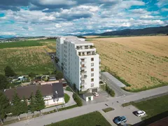 Hríby – fotografia 4